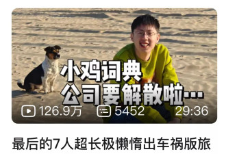 那个被大厂抄袭的小鸡词典，败诉了，也解散了
