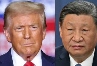 针对川普 中国已备妥3套策略 并已开始执行