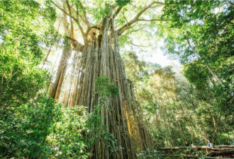 凯恩斯与大堡礁2025全新精彩体验