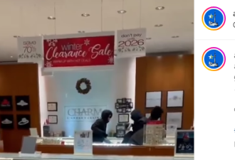 大多区又一家商场珠宝店被打砸抢！华人现场目击！抢劫案发率翻倍