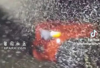 美国各地现大雾 闻10分钟就发烧咳嗽,吓坏美国人