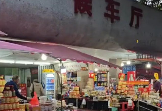 大学生挑战搭公交从北京到香港 历时13天车资只…