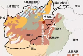 “巴铁”和塔利班为啥又打起来了？