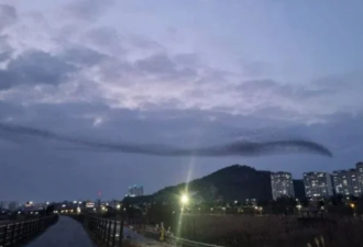 画面曝光：济航客机坠落前撞“比其大10倍鸟群”