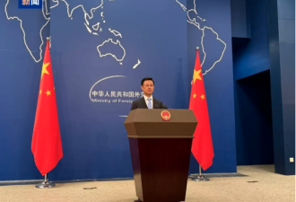 快讯：中国外交部发言人，上新！