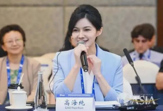 天合美女“千金”，此时出任联席董事长有何深意?