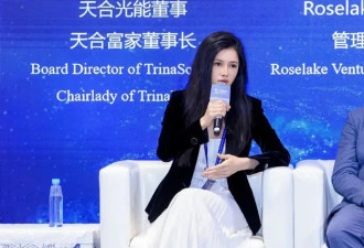 天合美女“千金”，此时出任联席董事长有何深意?