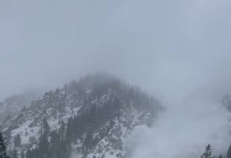 美国暴雪多州紧急状态 司机目睹雪崩秒关窗避险
