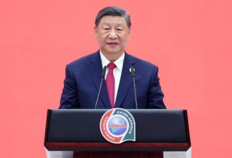 永无尽头！习近平发出“哀鸣”