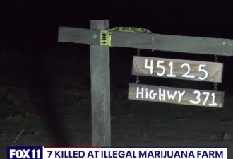 LA非法大麻农场血腥屠杀 7亚裔命丧荒野 警公布细节