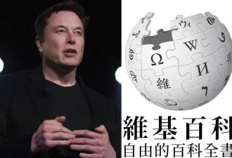 财大气粗频频挑衅 马斯克为何又杠上维基百科？