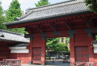 抗日是口号？东京大学中国留学生占比惊人