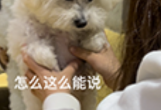 来美国三年，我还是说不好英语