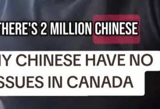指桑骂槐？加拿大小哥“猛夸中国人”引全网热议