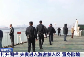 一起离奇坠海事故，牵出千万元级杀妻骗保大案