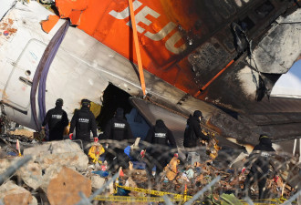 济州航空失事真正原因 确认“鸟击” 引擎发现羽毛