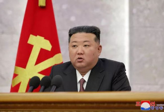 金正恩又出招？传禁吃热狗、辣炒年糕、部队锅