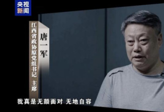 唐一军贪腐内幕 妻控34家公司权钱交易