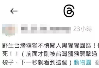 野生猴仔误闯动物园黑猩猩区“遭围殴残虐至死” 恐怖画面曝光