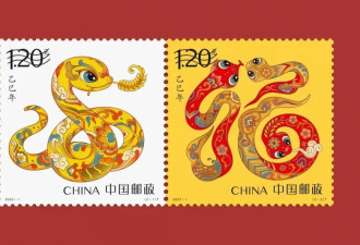 蛇，最具哲学智慧的属相