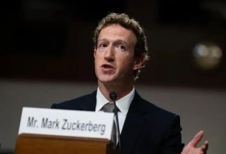 美媒：虚假+仇恨 Facebook即将沦为一个“粪池”