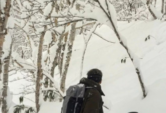 谢霆锋与大儿子滑雪，17岁Lucas大长腿抢镜