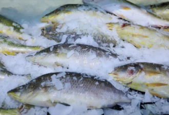 把“炎症”吃回去！这些食物能抗炎?