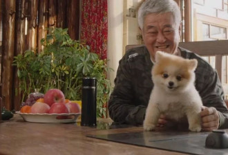 赵本山外孙子周岁宴 小皮儿长相意外撞脸舅舅