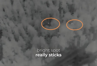 血的教训！乌制作视频警告士兵不要往树上撒尿
