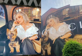 一张照片卖1.8亿美元，她这张宽颌方脸凭什么和玛丽莲梦露相提并论？！