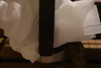 当心！这样的油枪千万别碰:小心有毒
