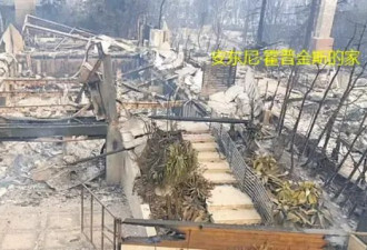 “仿佛刚遭遇了空袭”希尔顿等名人豪宅已被烧成平地