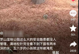 信阳一湿地公园有孩童溺亡 家属称落水水域铺满松针
