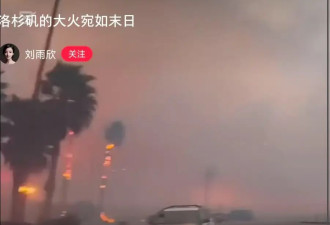 女星刘雨欣亲历洛杉矶大火，直言宛若世界末日，天空都是黄灰色