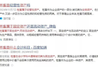 学了四年审计，一毕业数了三千头猪