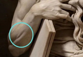 500年前的他，解剖学好过今天九成医学生