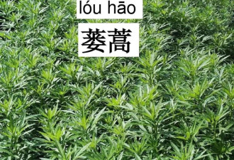 中国最被低估的10大美食 吃过3种算你厉害