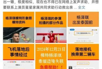 王星回国了但网友想不通:为什么会选择拐卖明星？