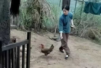 37岁刘亦菲现身农村喂鸡 一身粗布麻衣仍仙气飘飘