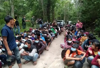 越扒越深，泰国每天卖掉近200中国人，他们为何敢如此肆无忌惮？