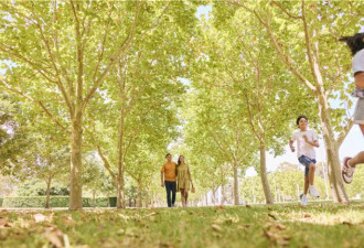 新州反季亲子游指南：拥抱热浪 盛夏不打烊
