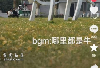 大学生白天上课 晚上“搬牛” 校方:学校传统