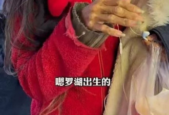 38岁港女流浪深圳逾1年 网友曝竟为物理学家？