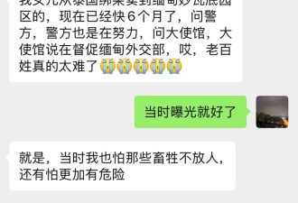 当一国的人被称为“猪仔”、成硬通货在市场流通