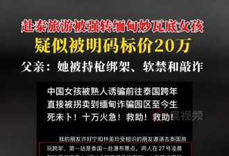 揪心！许好宁、林美玲被爆关园区红楼 疑被转卖
