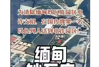 缅甸电诈组织的邪恶突破所有人的想象