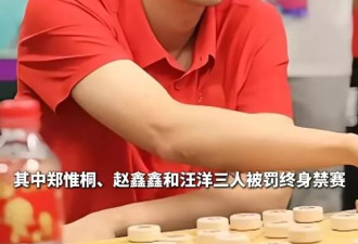 中国象棋的天塌了！四天王终生禁赛 棋迷惊诧失望
