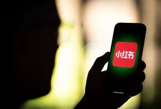 TT禁令将至 大批美国用户涌入小红书 app商店下载量已登顶