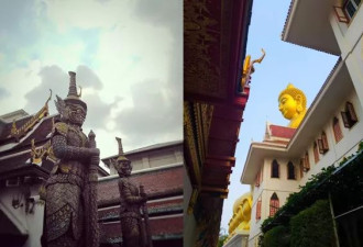 中国退休银发族，在日本泰国成为待宰香饽饽
