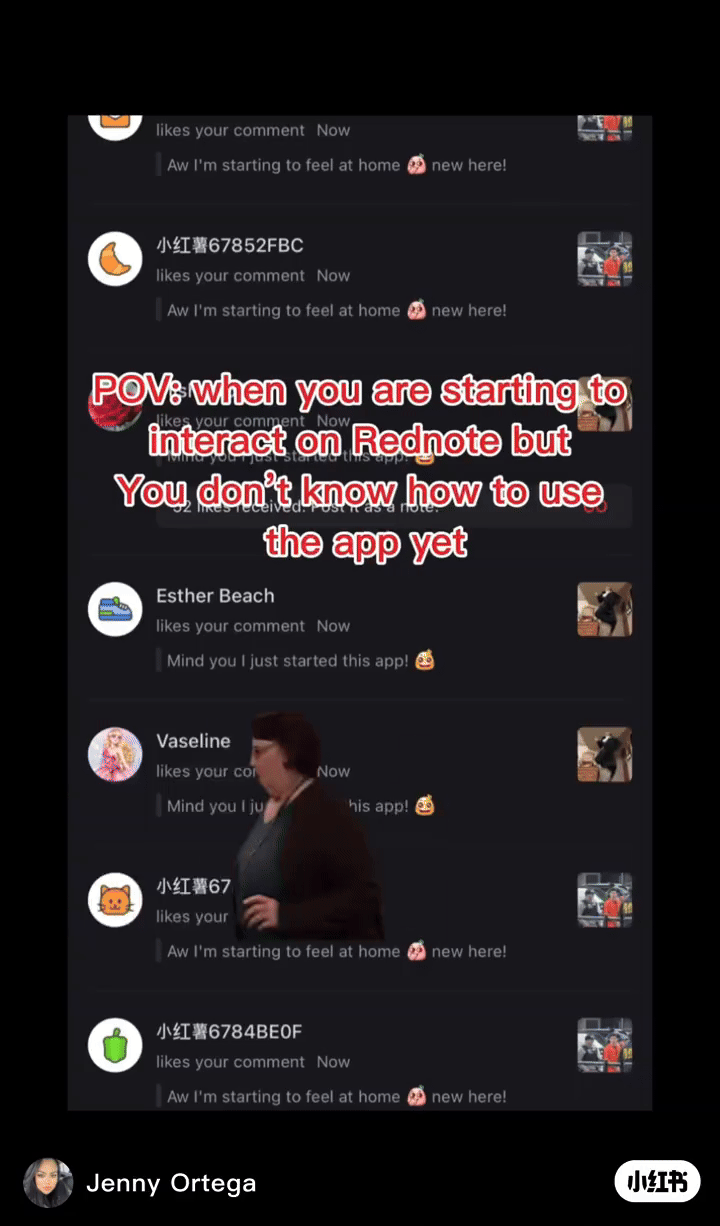 TikTok被禁,小红书吃饱:TikTok"美国难民"涌进小红书